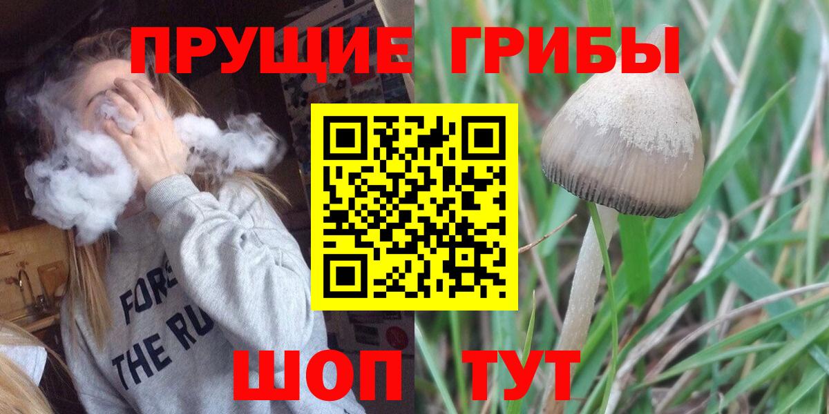 Псилоцибиновые грибы GOLDEN TEACHER  Псилоцибиновые грибы GOLDEN TEACHER  Вход с VPN  Ялта 