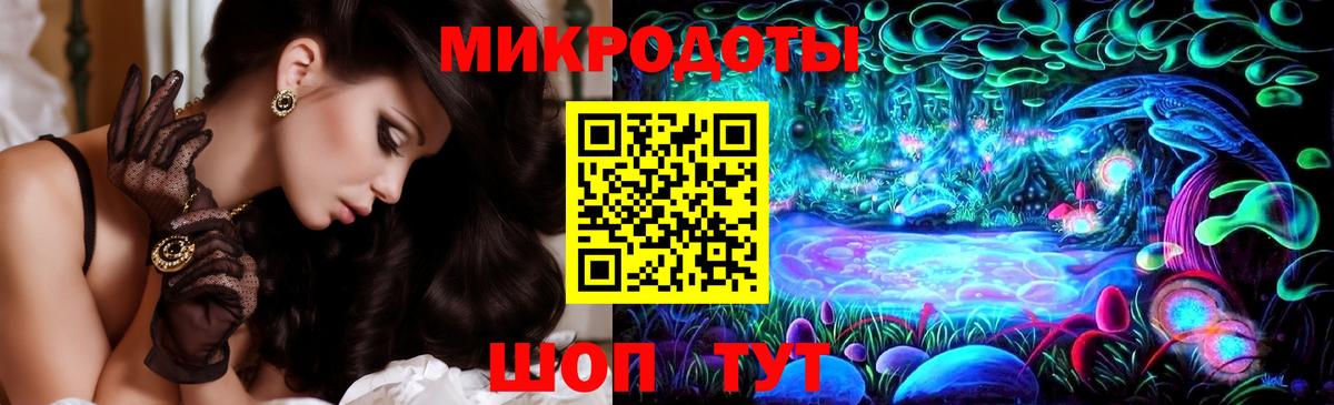Псилоцибиновые грибы Psilocybine cubensis Ялта